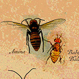 For-Sale-Illustration-by-J.-Michael-Walker