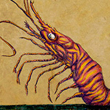 Man-Bites-Prawn-Illustration-by-J.-Michael-Walker
