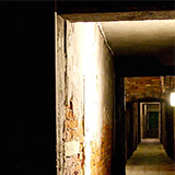 The-Voice-illustration