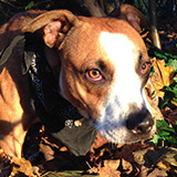 Uncle-Sonny-illustration